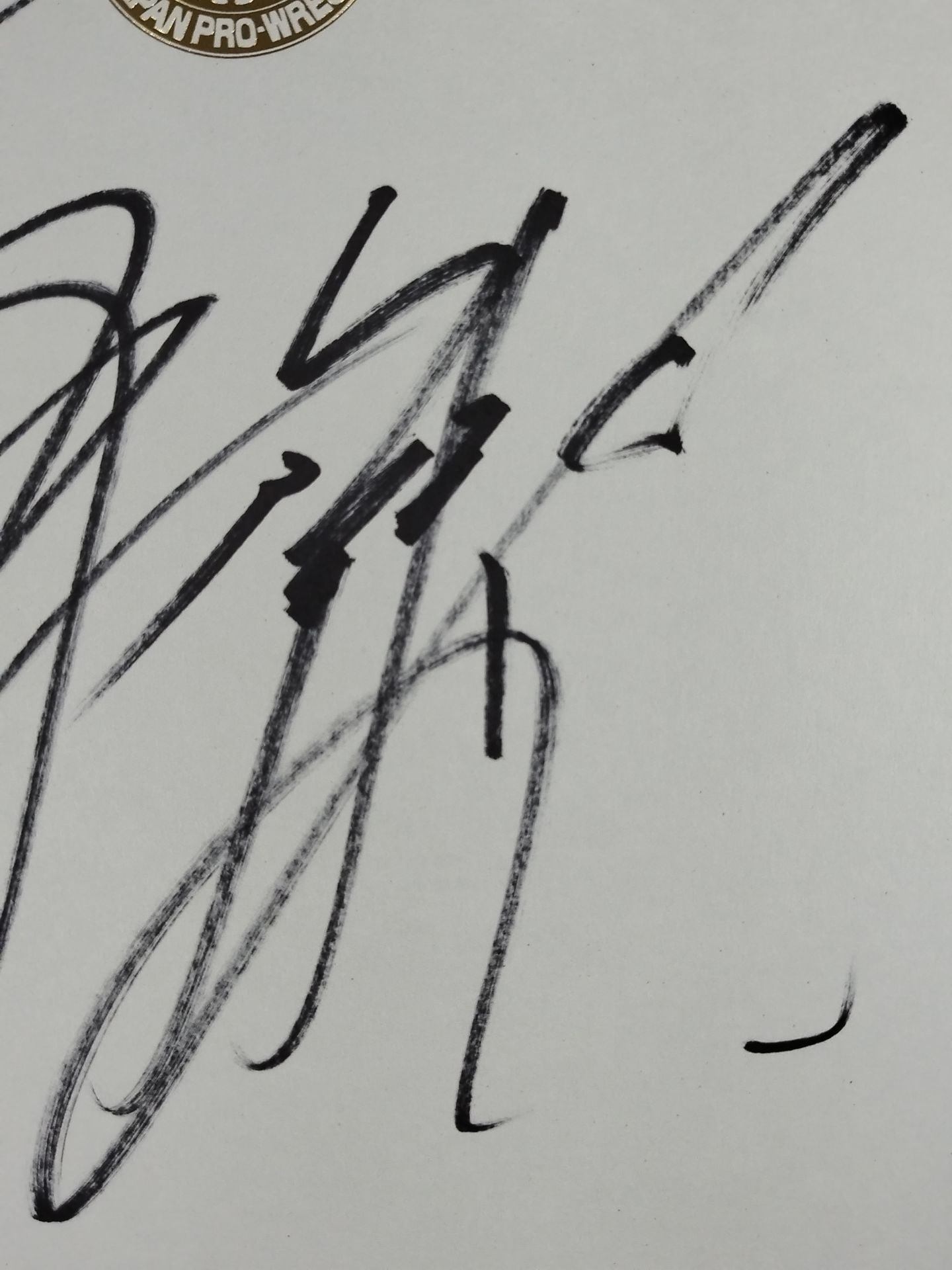 Togi Makabe  & Hirooki Goto  ( Lion Mark Shikishi ( Autograph board ) )