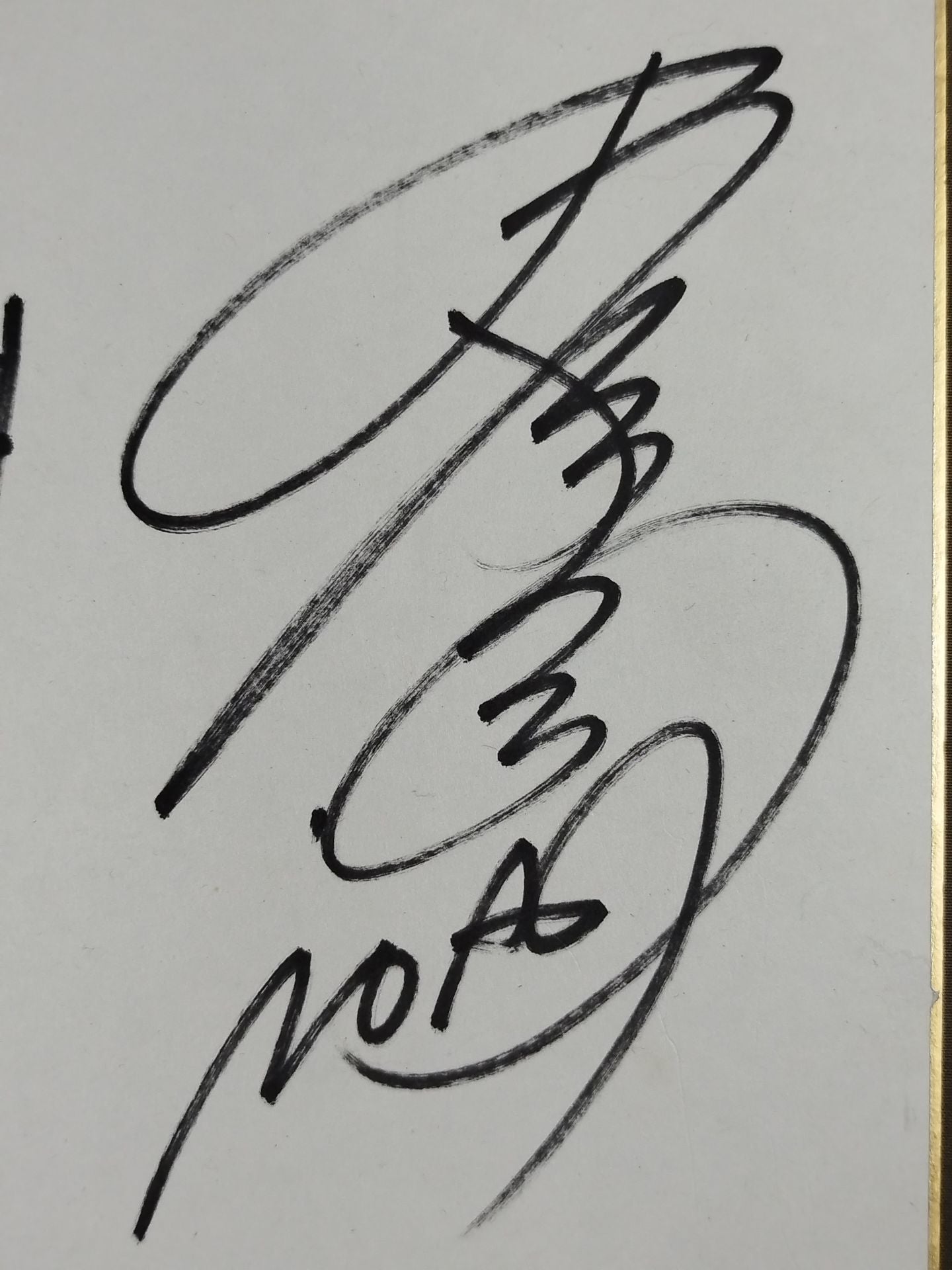 Atsushi Kotoge & Naomichi Marufuji  (King ofPro-wrestling  dedicated Shikishi ( Autograph board ) )