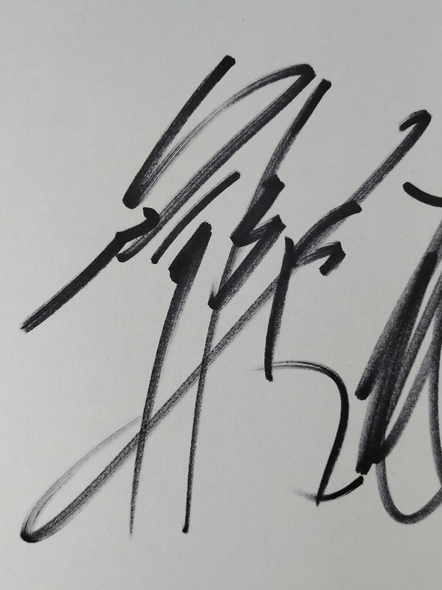 後藤洋央紀＆YOSHIHASHI(ライオンマーク色紙)