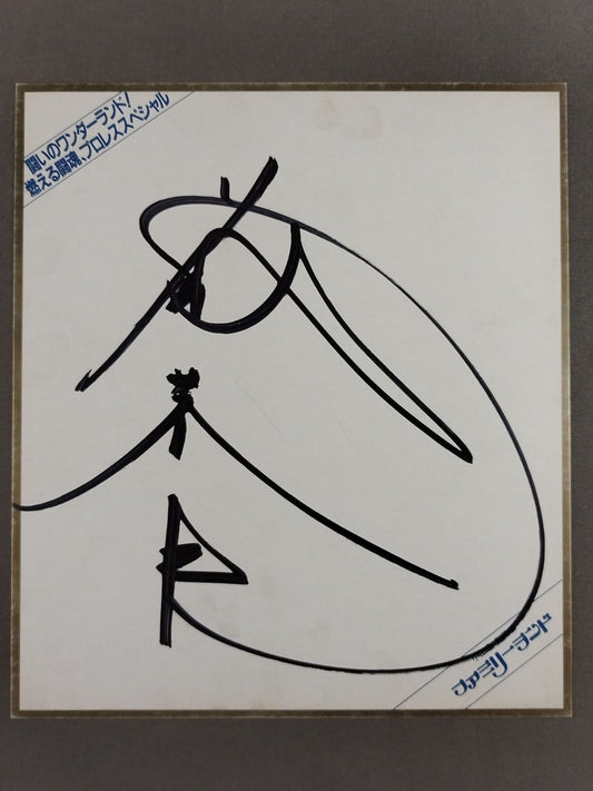 藤波辰巳(ファミリーランド厚紙)