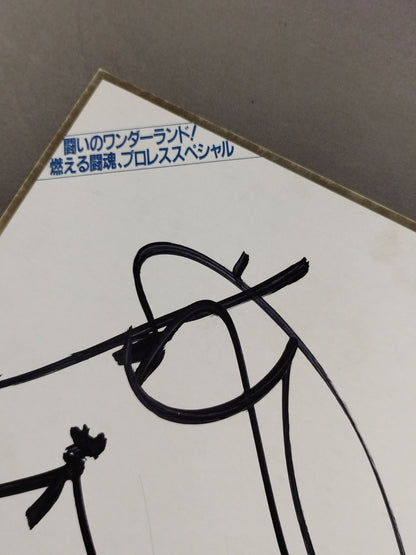 藤波辰巳(ファミリーランド厚紙)