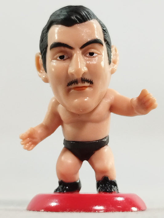 Karl Gotch 