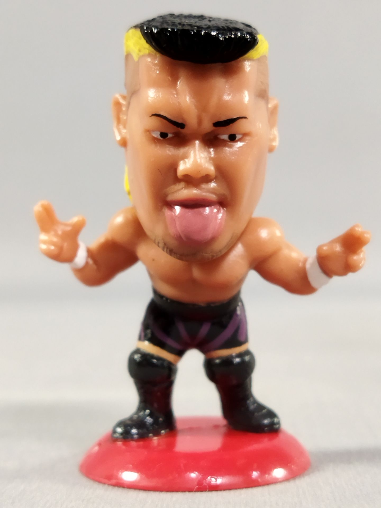 Hiroyoshi Tenzan (A) Black Tights