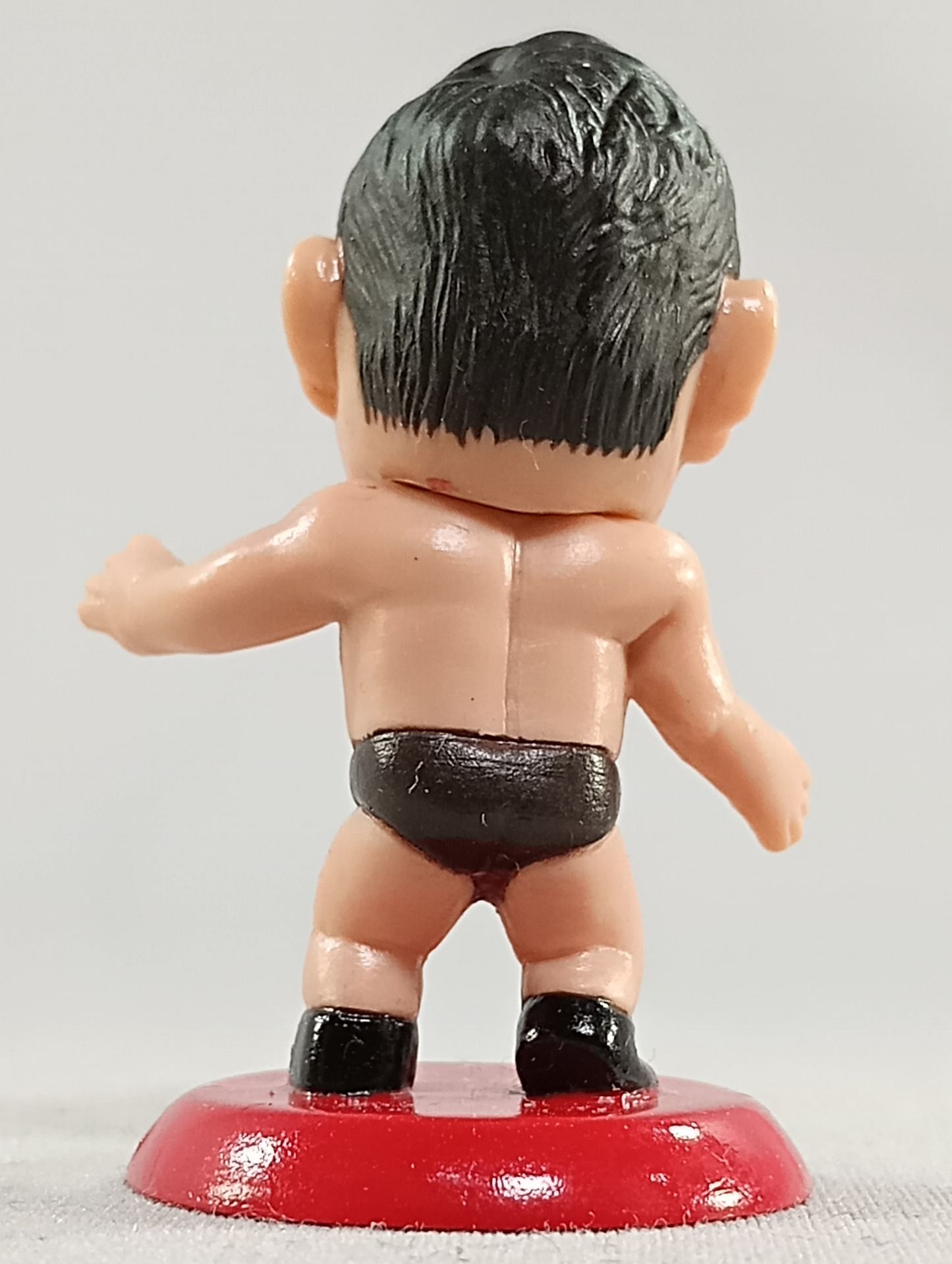 Karl Gotch 