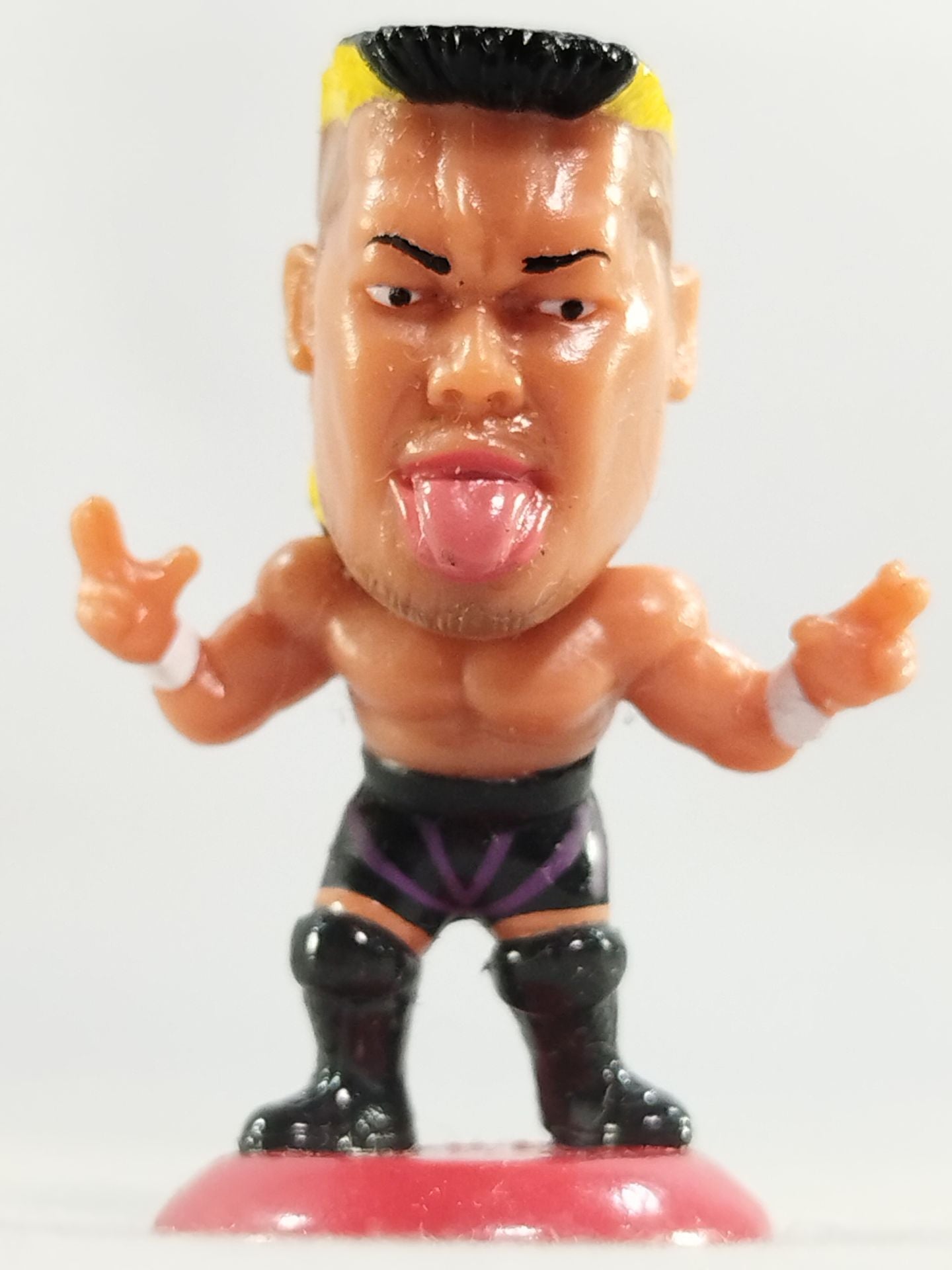 Hiroyoshi Tenzan (A) Black Tights