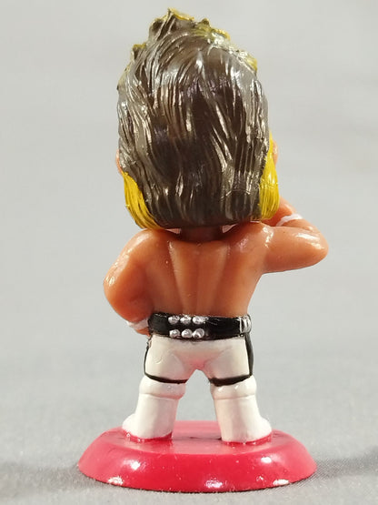 Hiroshi Tanahashi (B) White Tights