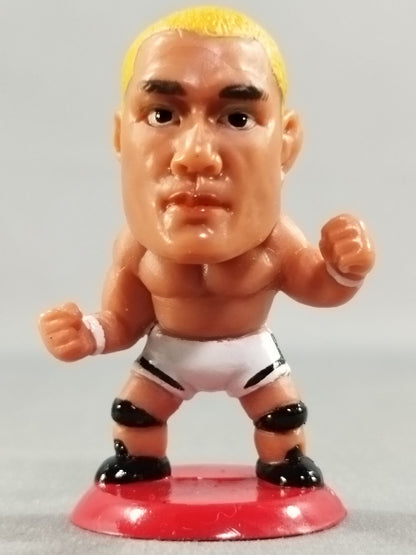 藤田和之