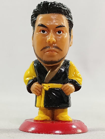 川田利明(B)ガウン