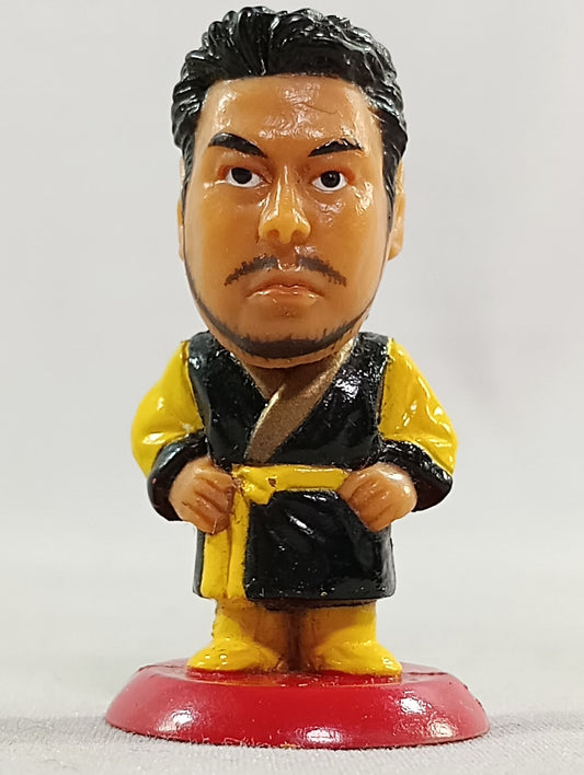 川田利明(B)ガウン