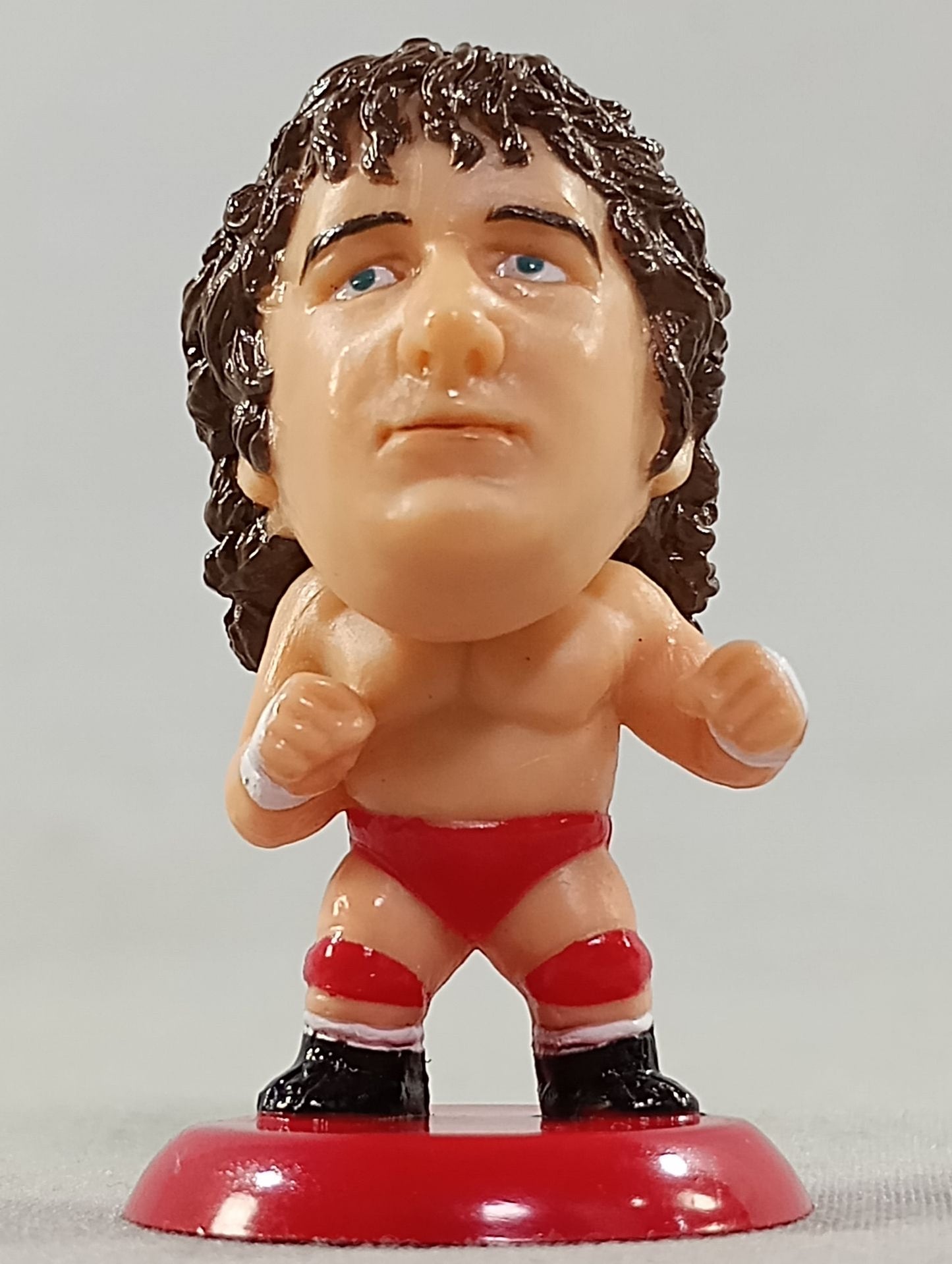 Terry Funk