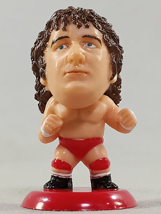 Terry Funk