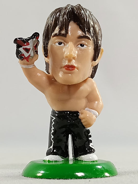 Naomichi Marufuji 