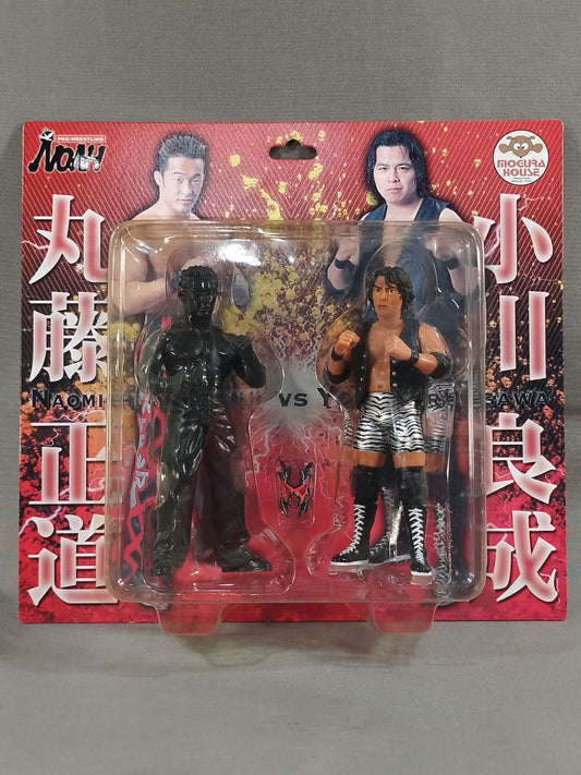 Yoshinari Ogawa  & Naomichi Marufuji(Bronze only for Marufuji)