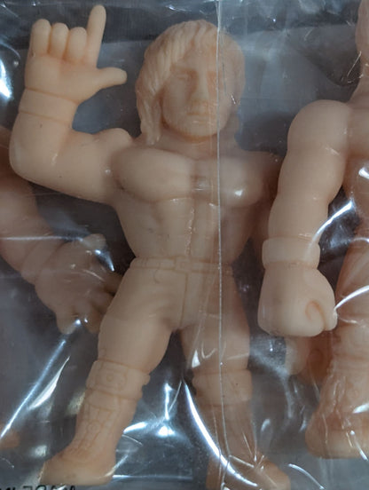 ★ファイヤープロレスリングワールド★ レスラーミニフィギュア