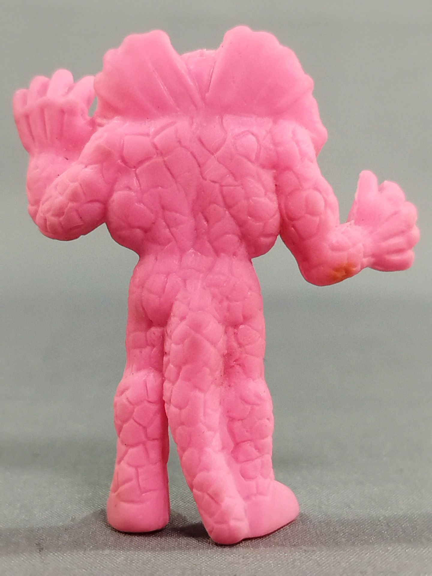 エリマキトカゲ