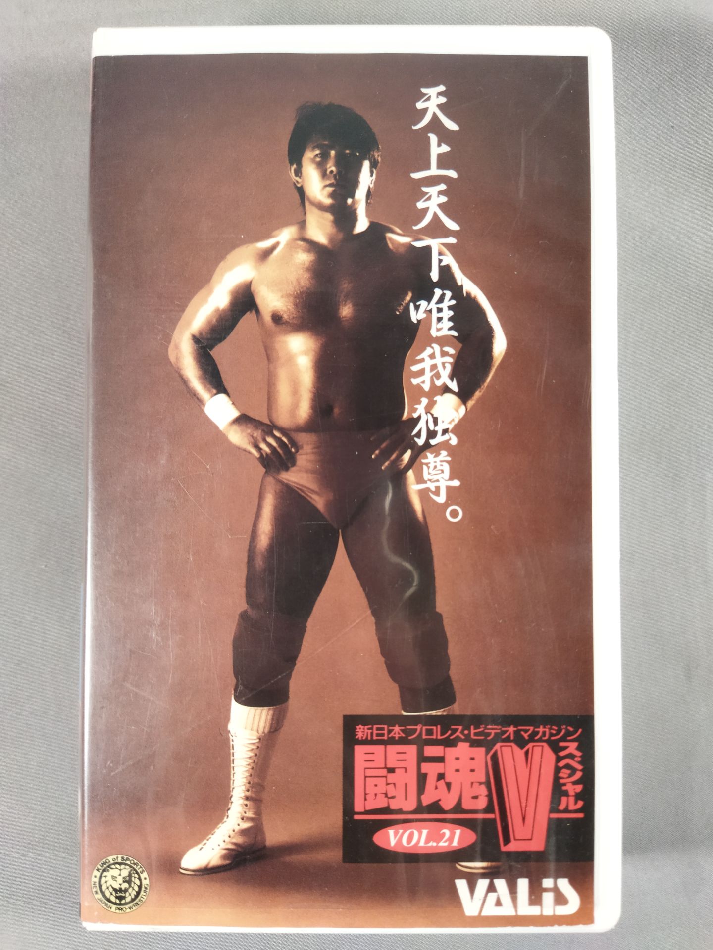 闘魂Vスペシャル Vol.21