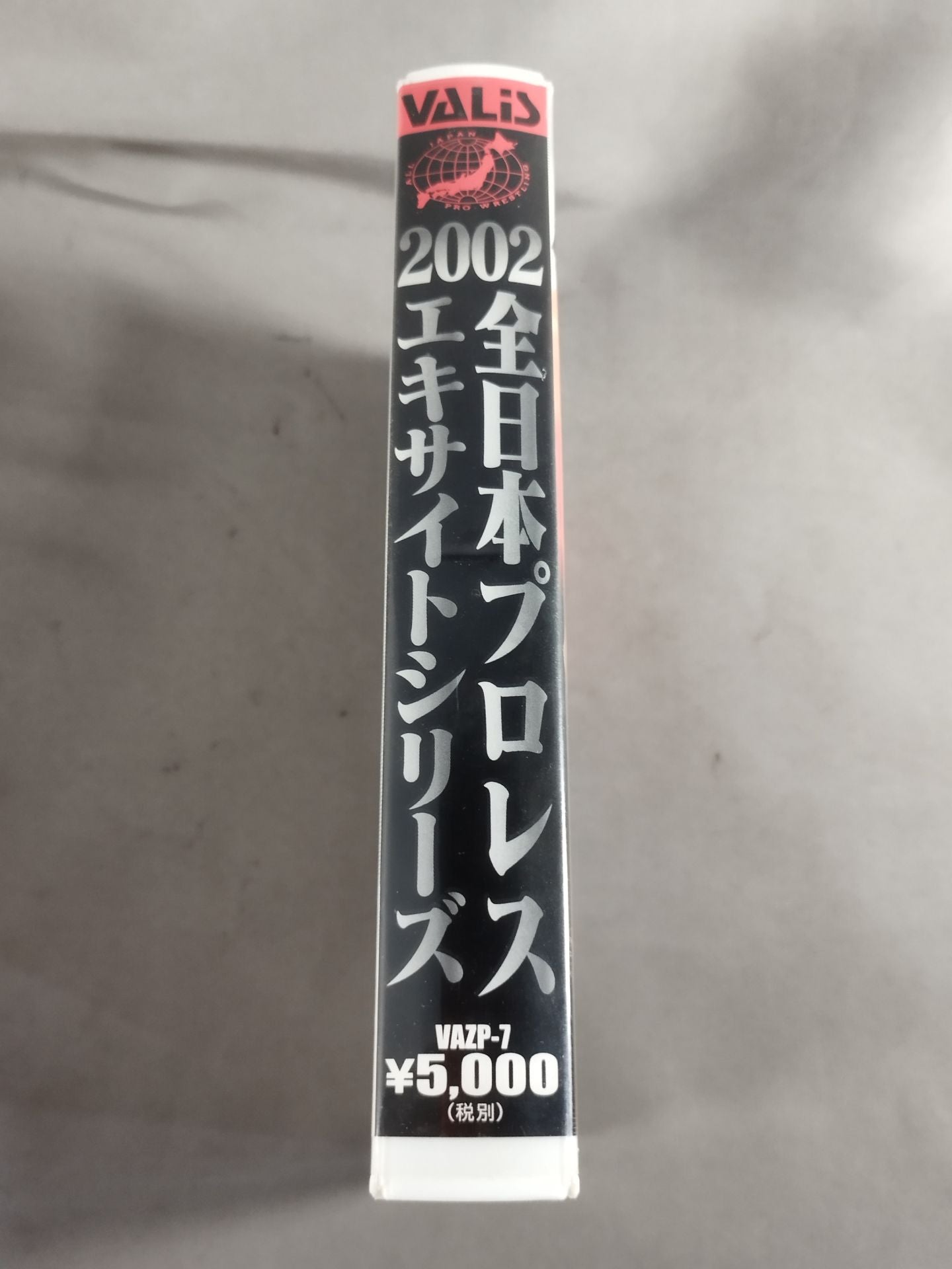 2002 All Japan Pro Wrestling Excite Series Triple CrownFighters Rights Match