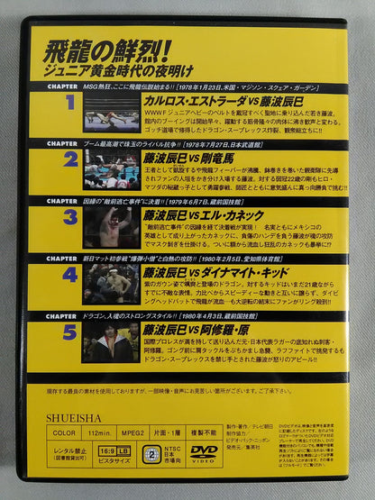 燃えろ!新日本プロレス vol.28
