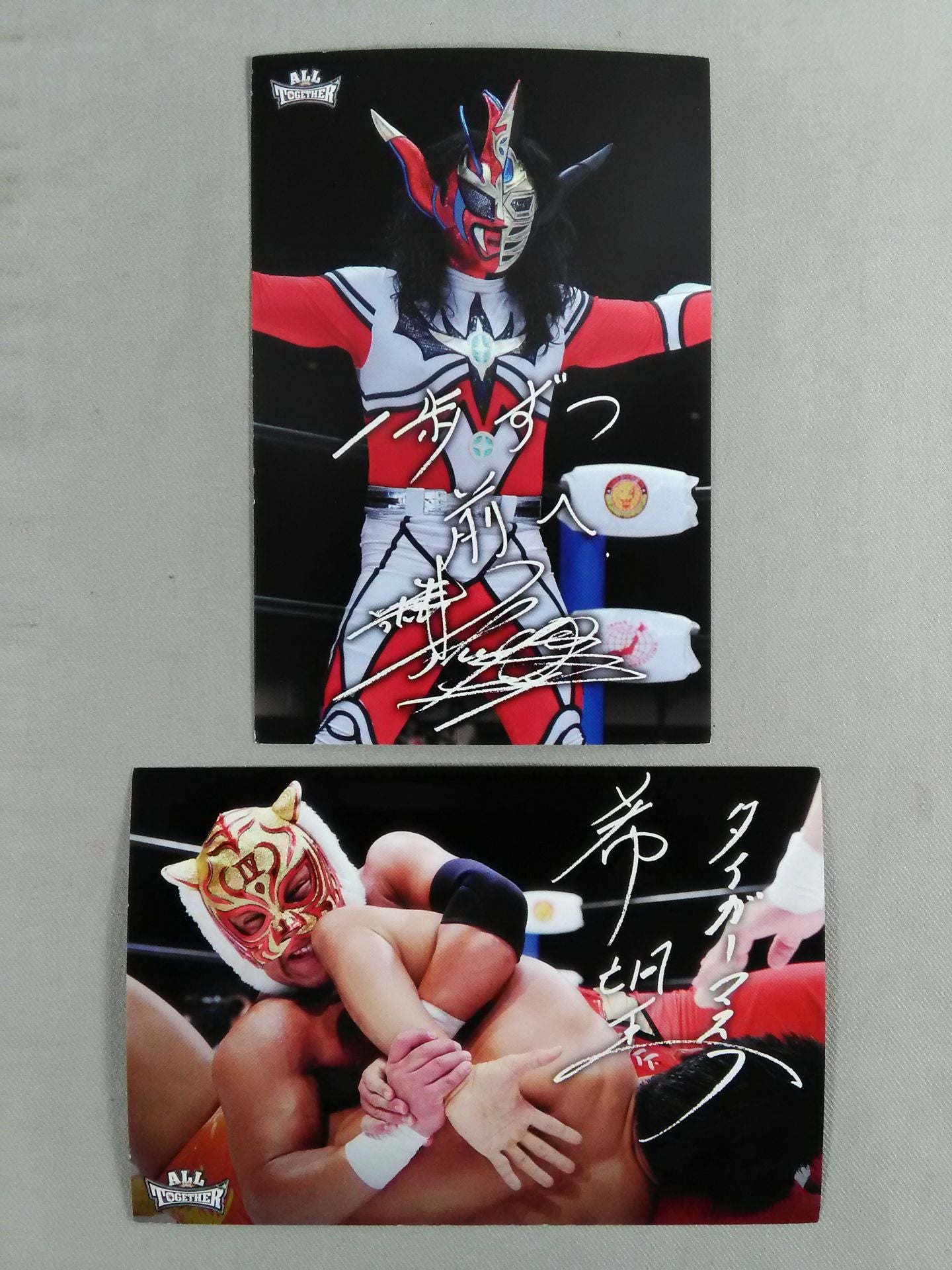 All Together: Pro Wrestling, a charity to support the reconstruction of the Great East Japan Earthquake