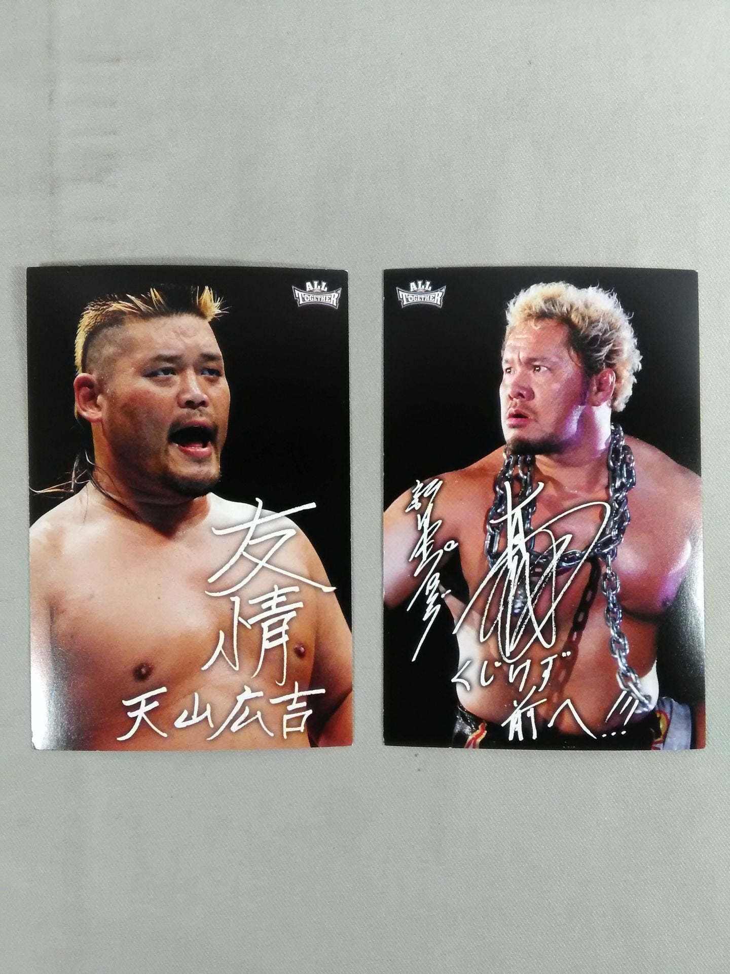 All Together: Pro Wrestling, a charity to support the reconstruction of the Great East Japan Earthquake