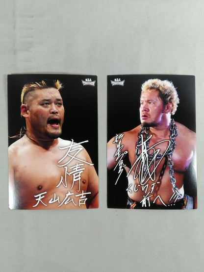 All Together: Pro Wrestling, a charity to support the reconstruction of the Great East Japan Earthquake