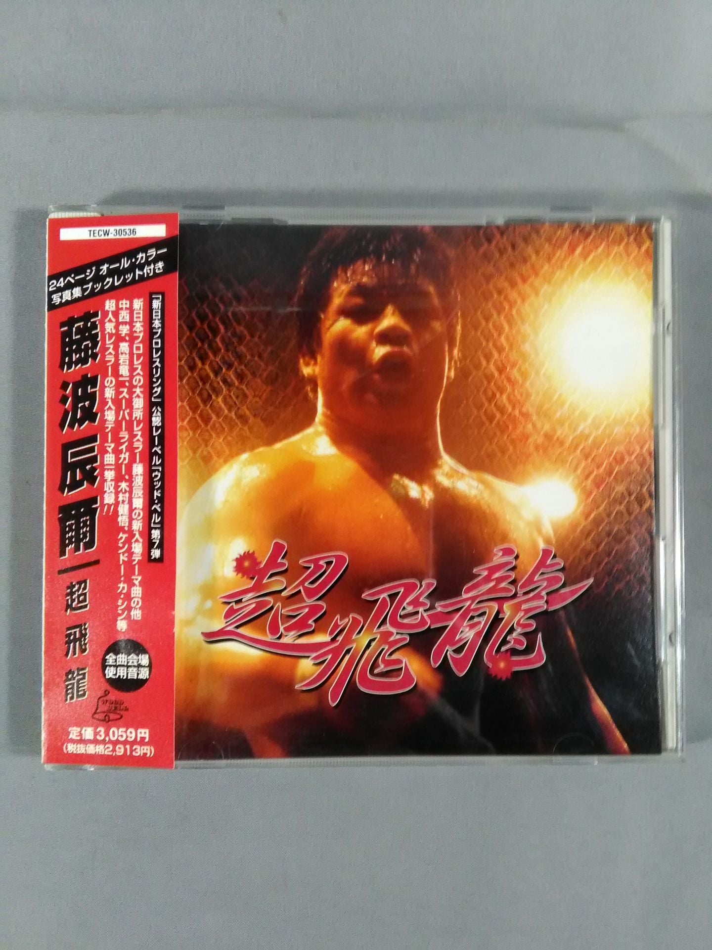 藤波辰爾 超飛龍 – 闘道館