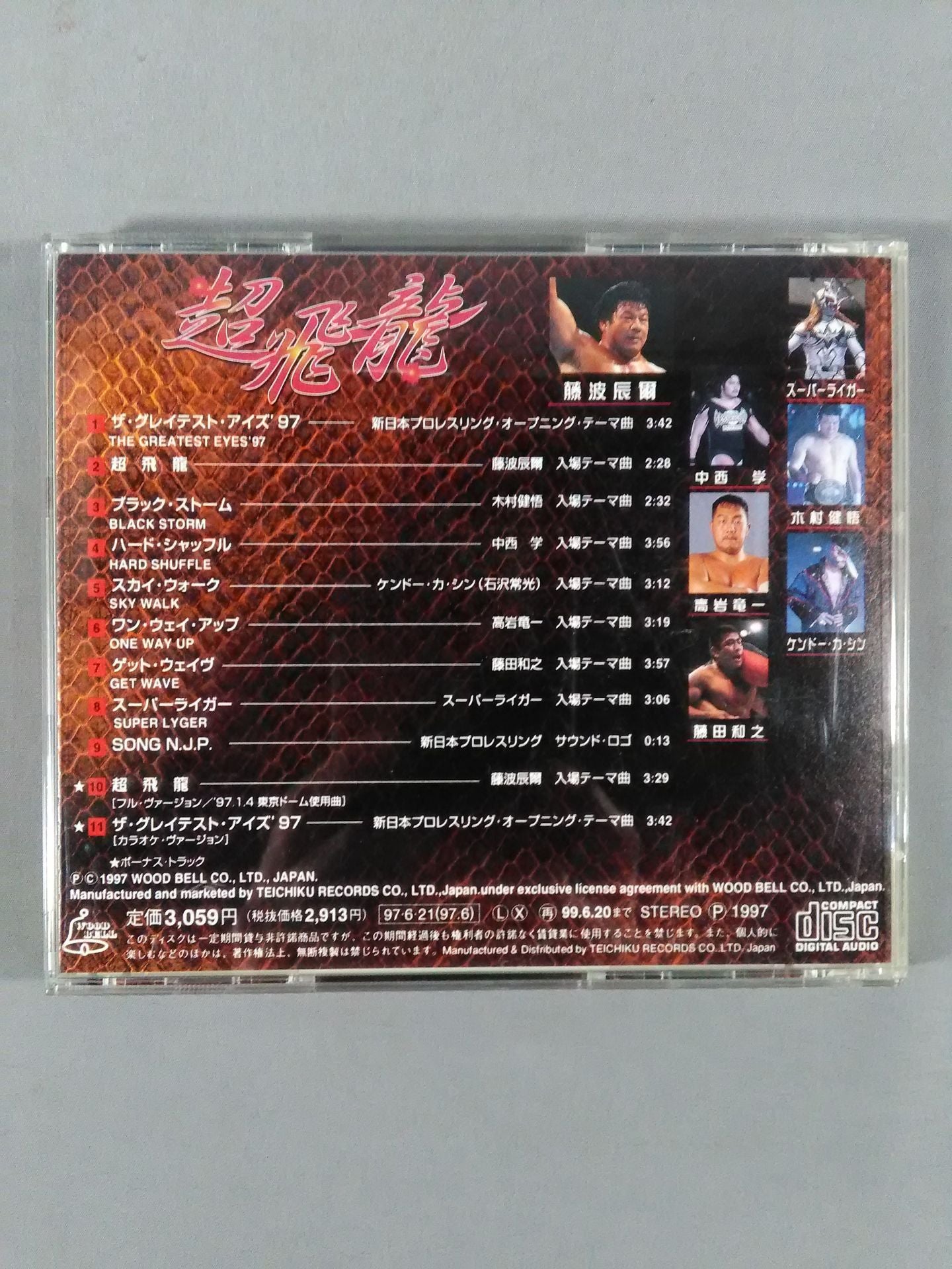 藤波辰爾 超飛龍 – 闘道館