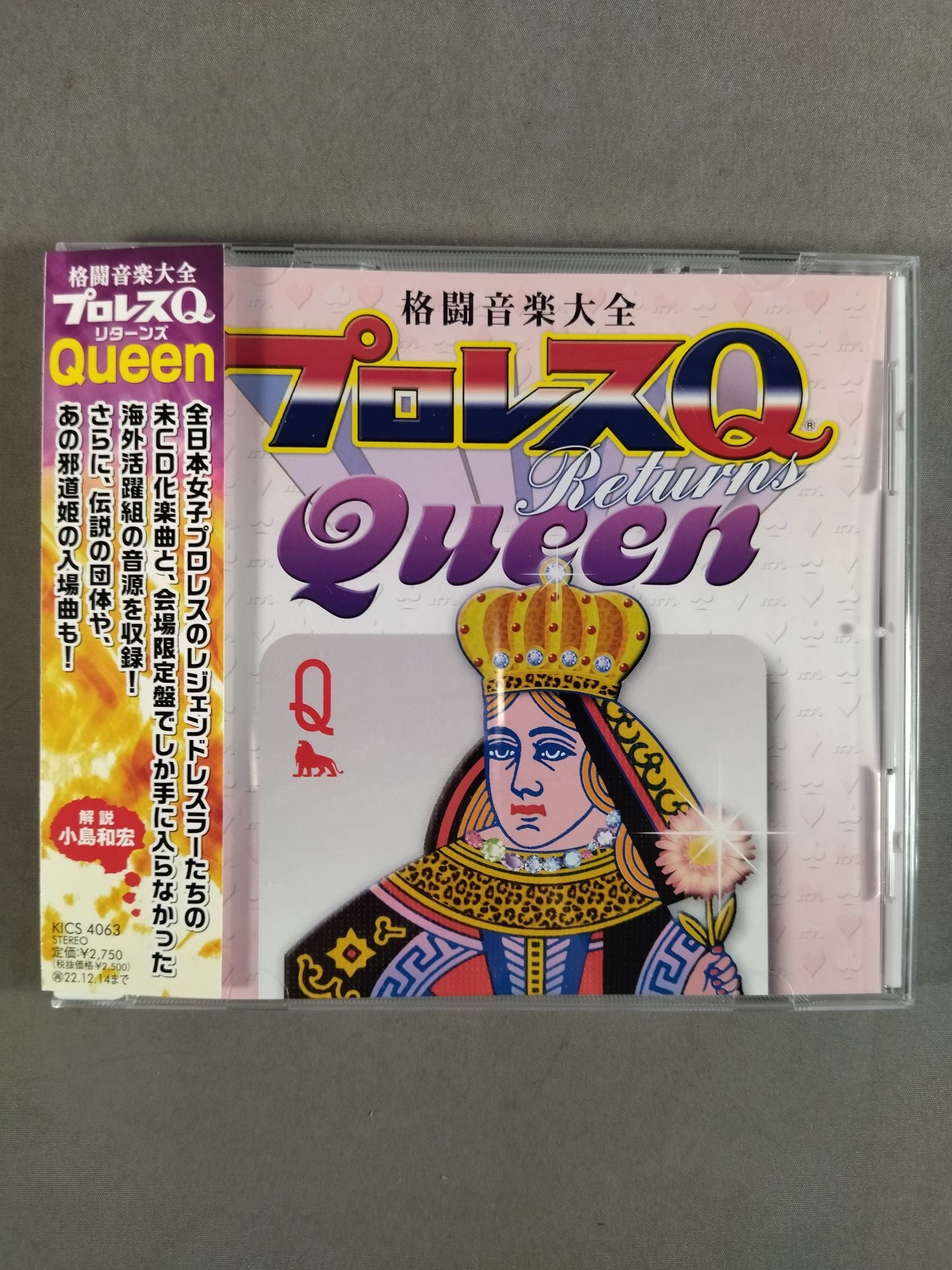 プロレスQ リターンズ Queen – 闘道館