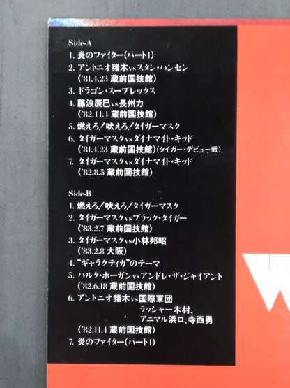 闘いのワンダー・ランド(プロレス・ファイティング・ライブ)