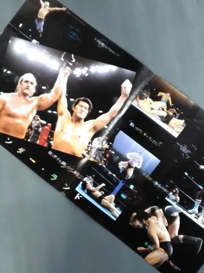 闘いのワンダー・ランド(プロレス・ファイティング・ライブ)
