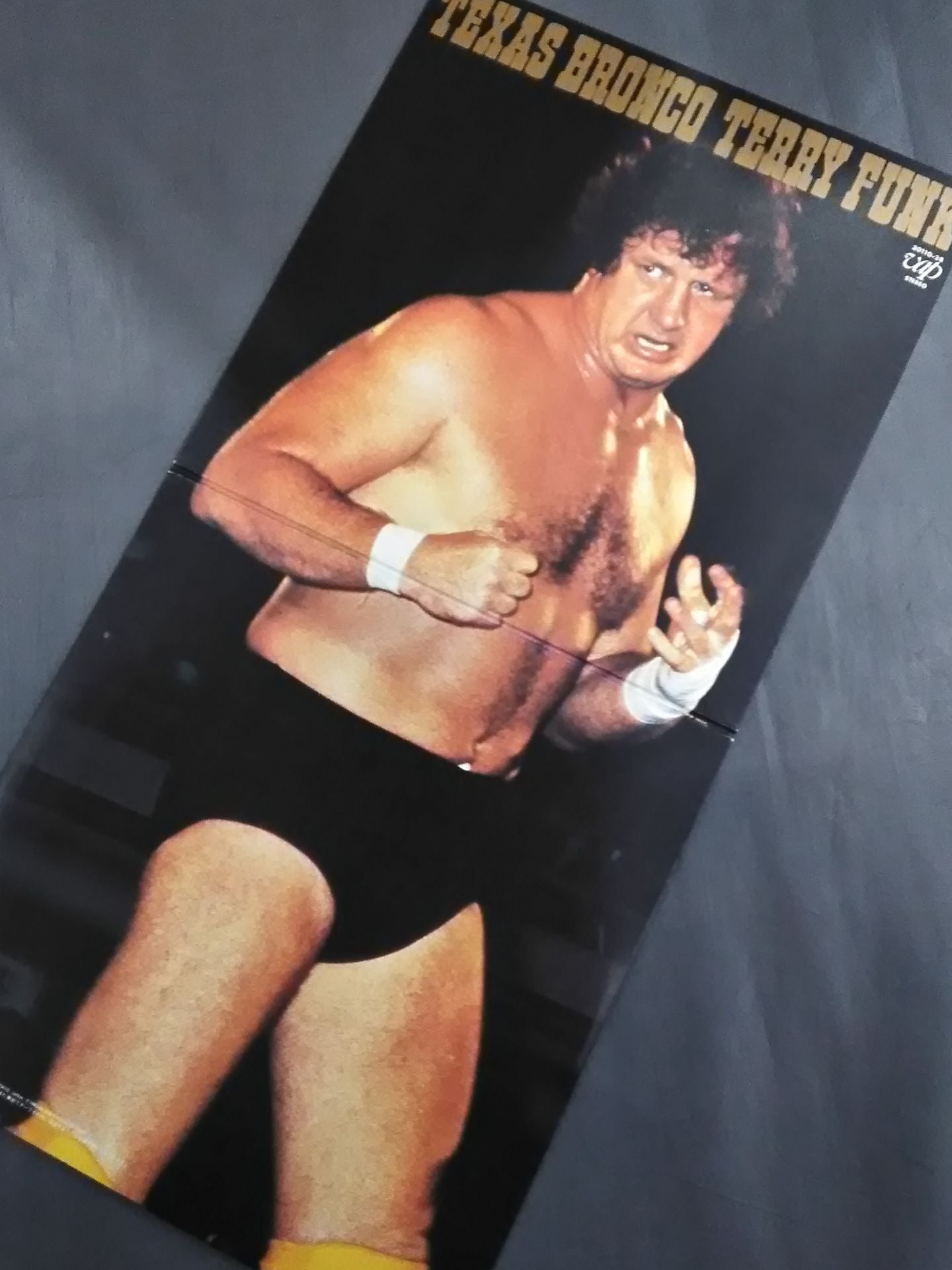 TEXAS BRONCO TERRY FUNK