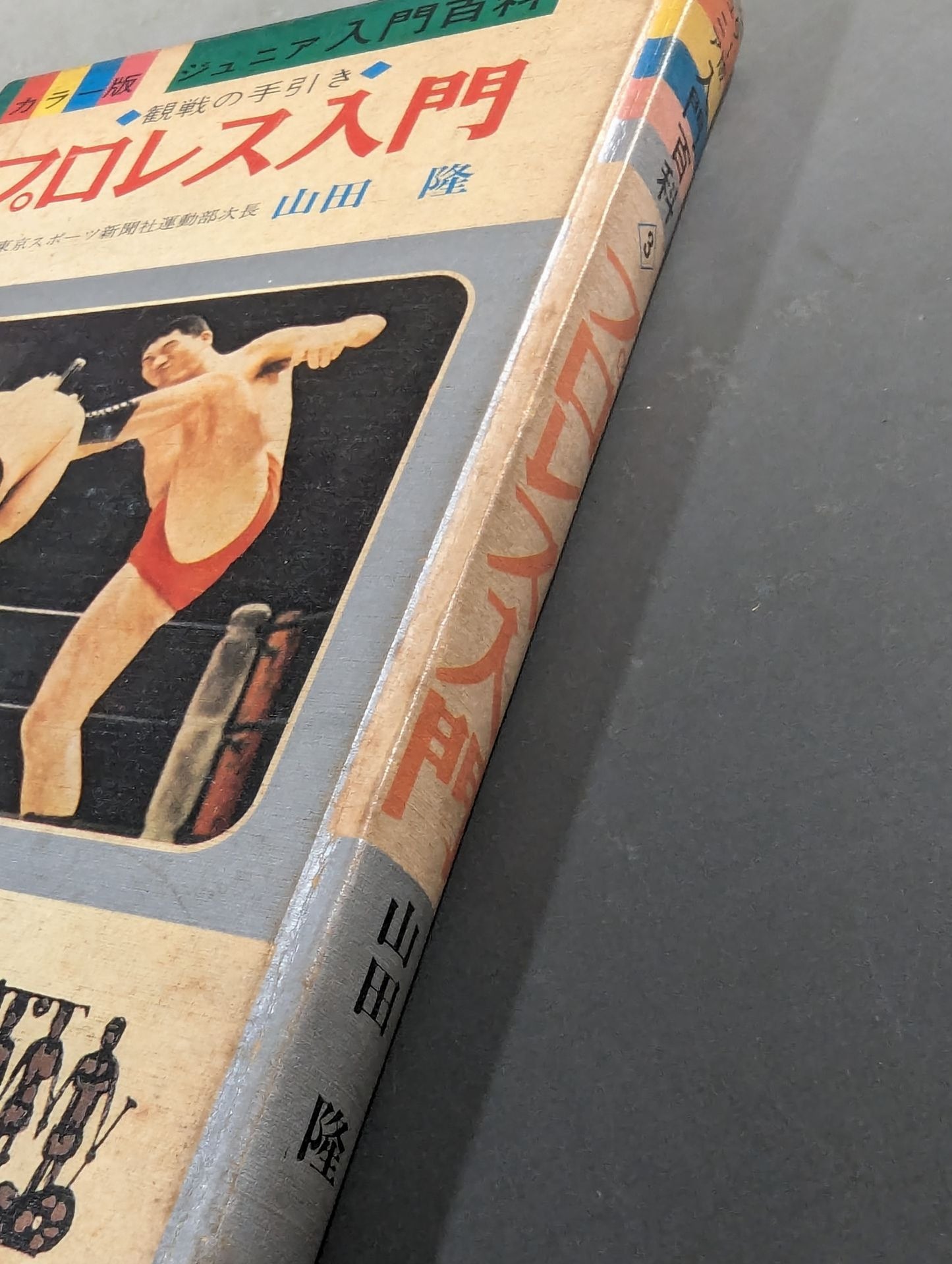◆Guide to Watching the Game◆ Introduction to Pro Wrestling  (Color Version Junior Introductory Encyclopedia (3))