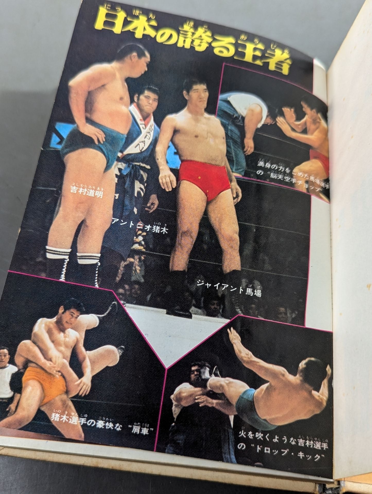 ◆Guide to Watching the Game◆ Introduction to Pro Wrestling  (Color Version Junior Introductory Encyclopedia (3))