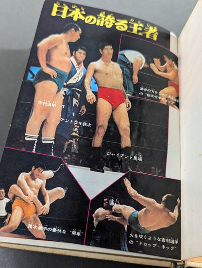 ◆Guide to Watching the Game◆ Introduction to Pro Wrestling  (Color Version Junior Introductory Encyclopedia (3))