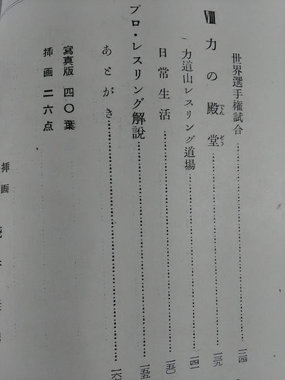 Pro Wrestler Rikidozan Story