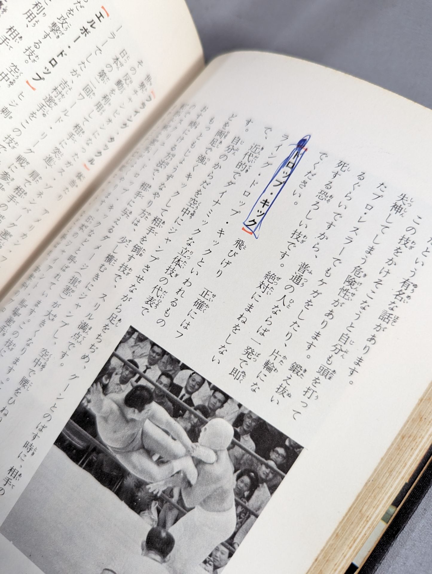 ◆Guide to Watching the Game◆ Introduction to Pro Wrestling  (Color Version Junior Introductory Encyclopedia (3))