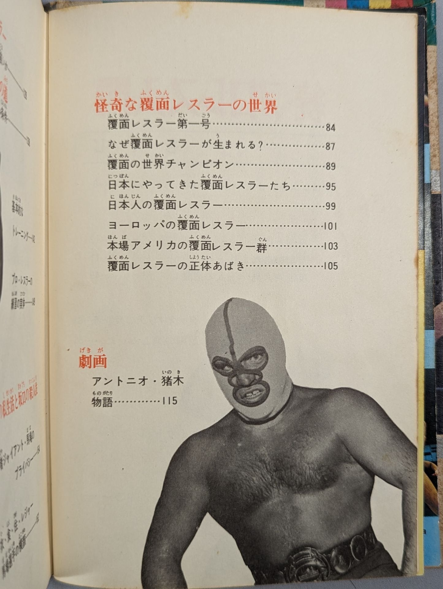 ◆ Watching the game becomes fun ◆ Continued・Introduction to Pro Wrestling  / Color version junior introductory encyclopedia (15)