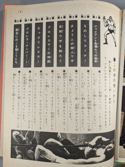 ★ First Edition ★ Introduction to Pro Wrestling Shogakukan Introductory Encyclopedia Series (9) (Cover: Illustration)