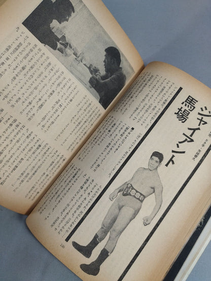 Special Issue Commemorating the 100th Issue of the Special Issue of the Story "Special Issue of the Special Feature of the Story"