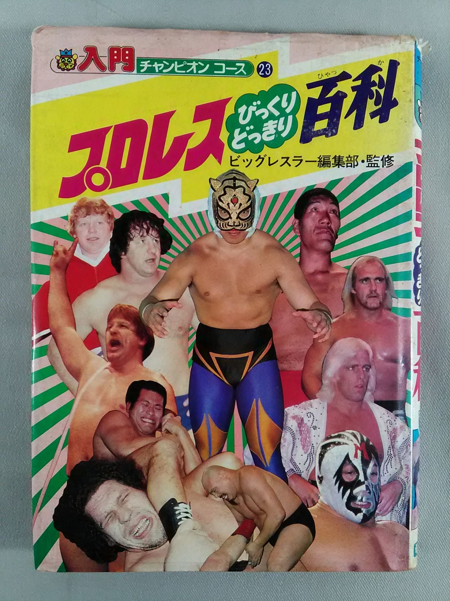 Pro Wrestling  surprise encyclopedia