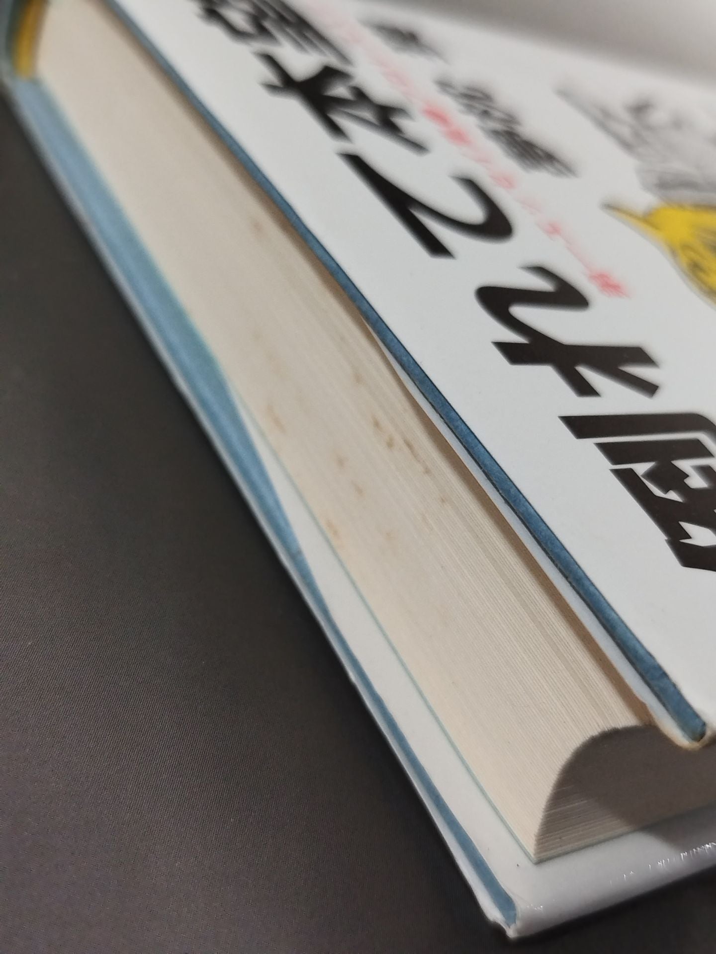 倒れて本望 第一エッセイ集プロレス入り
