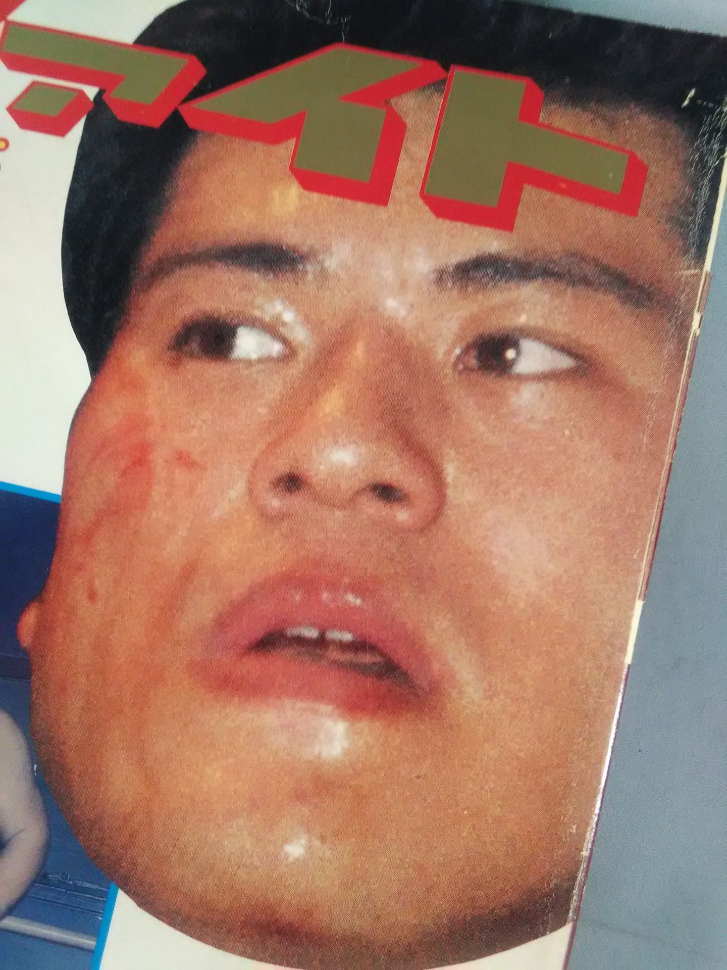Fight Condensed Edition NO.1