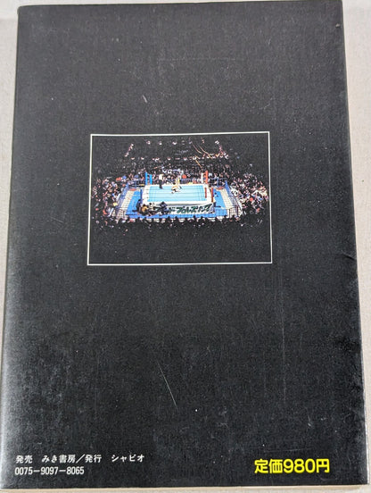 Nobody Teaches You How to Read Pro Wrestling