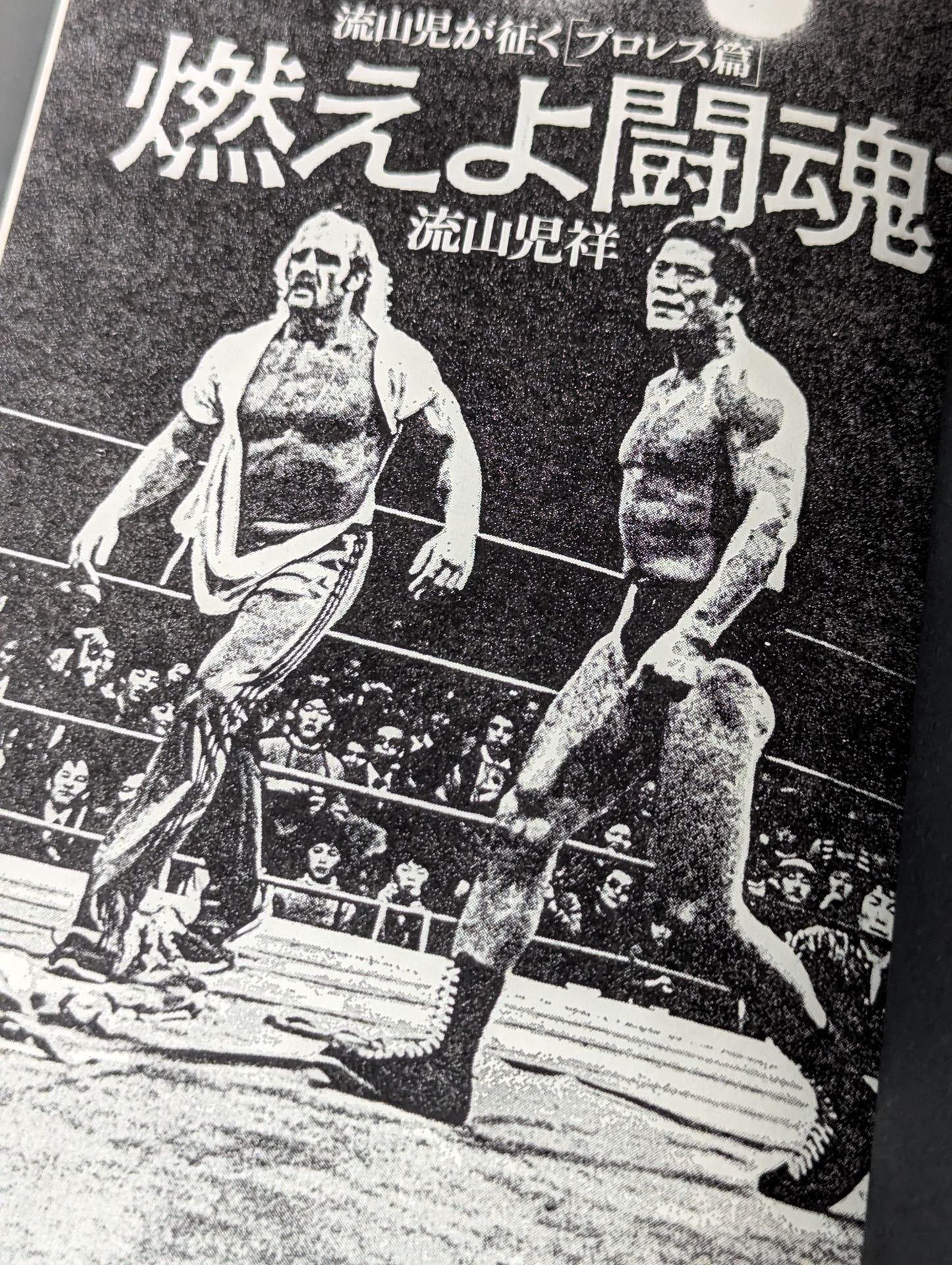 Pro Wrestling