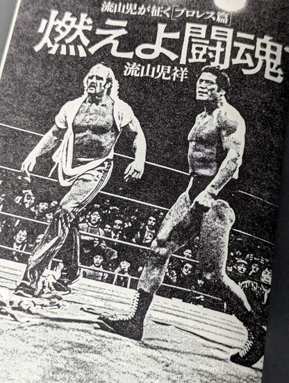 Pro Wrestling