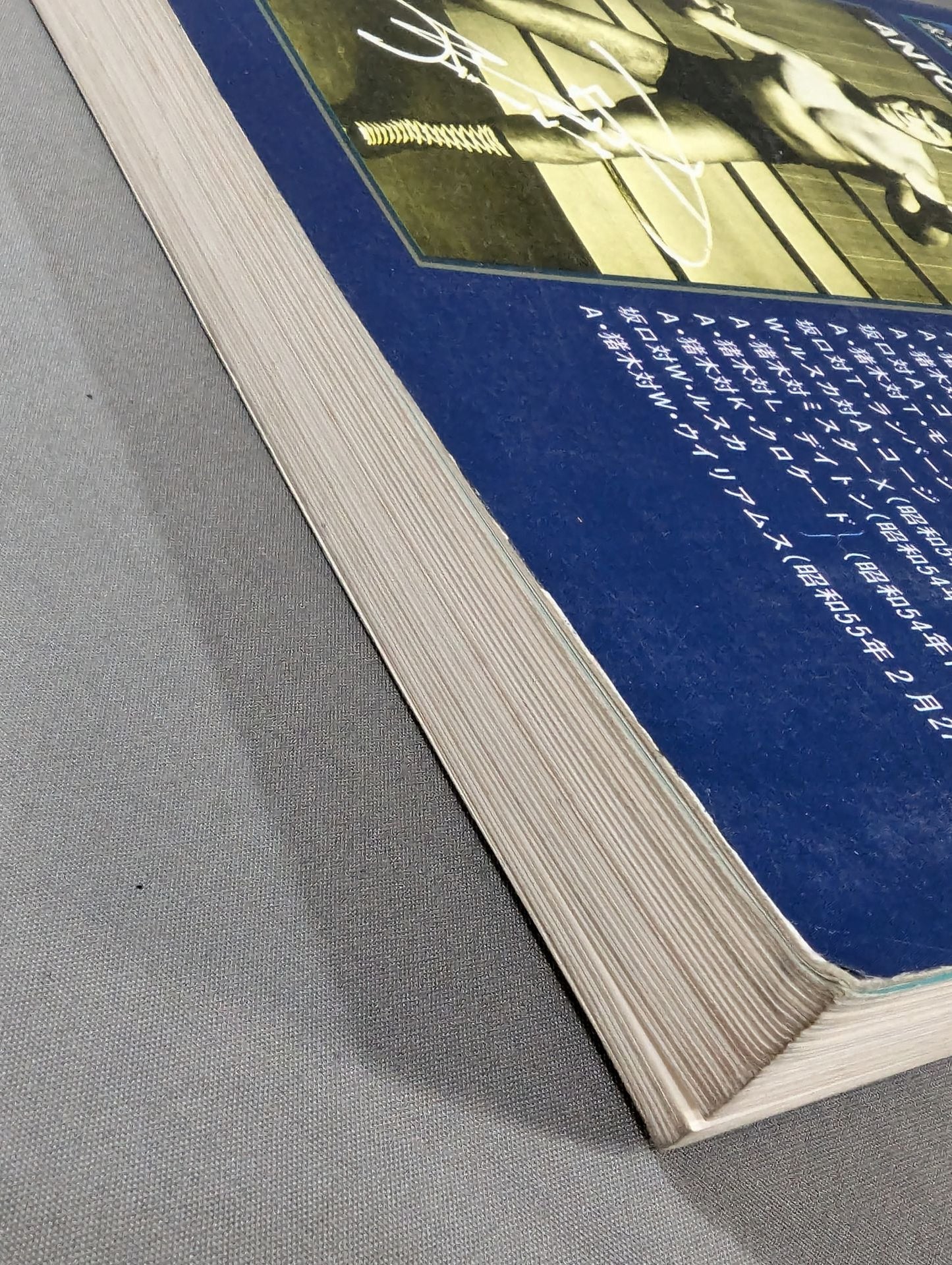 New Japan Pro Wrestling Pro-wrestling  Condensed version of the pamphlet Volume 1 [Permanent Preservation Version]