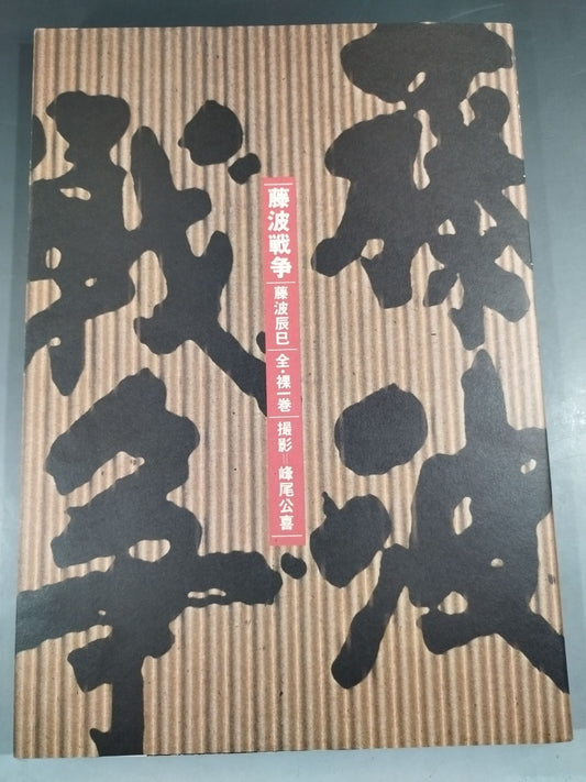 Tatsumi Fujinami