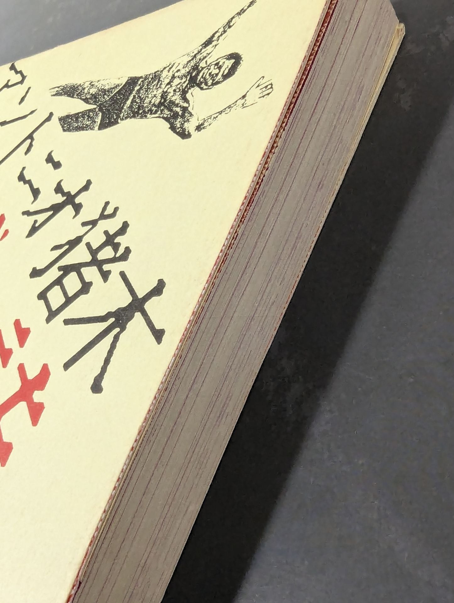 Antonio Inoki  Poem of the Fighting Spirit