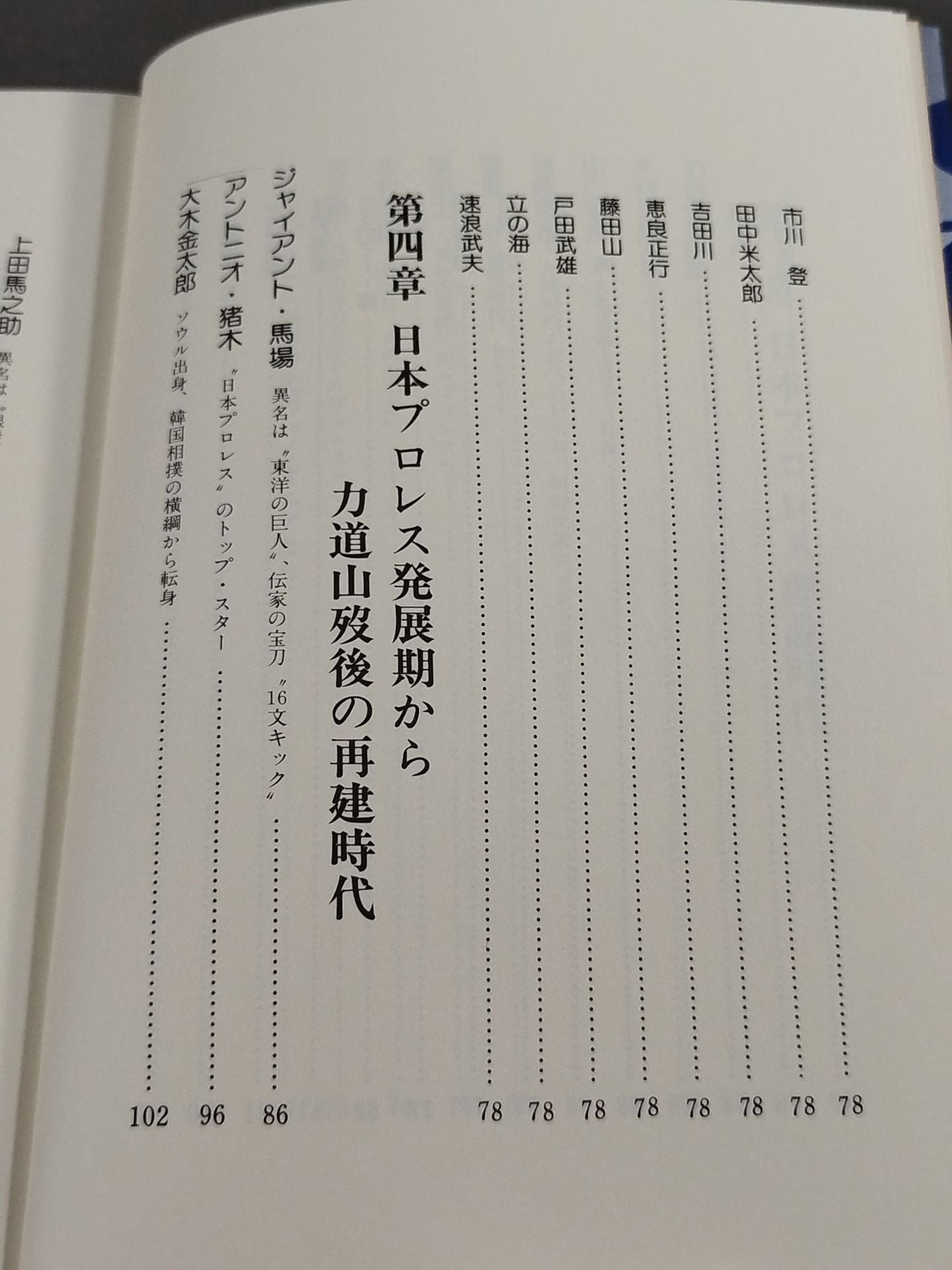 Pro Wrestling  All-Strength Directory Japan Edition