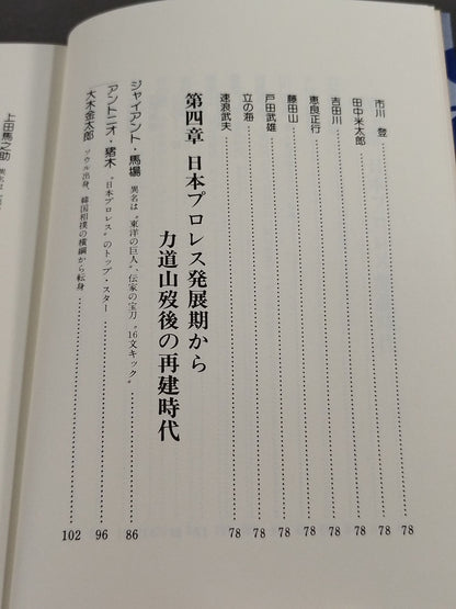 Pro Wrestling  All-Strength Directory Japan Edition